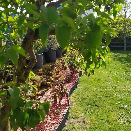 Frühstückspension Un Oasis De Quietude Belle 22m2 4*