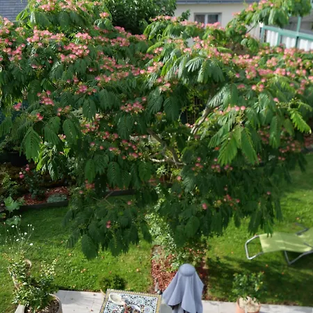 Un Oasis De Quiétude Belle 22m2 Bed and breakfast Guérande