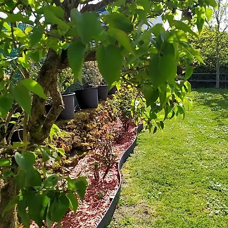 Un Oasis De Quietude Belle 22m2 Bed & Breakfast