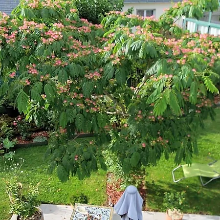 Bed & Breakfast Un Oasis De Quietude Belle 22m2 4*