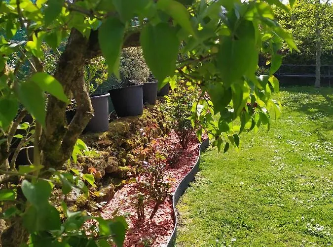 Bed & Breakfast Un Oasis De Quietude Belle 22m2 3*